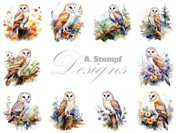 Download Barn Owl Clipart Watercolor Bird Images - Owl Collection