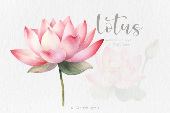 Download Pink Lotus Flower PNG Watercolor Bundle - Pink Collection